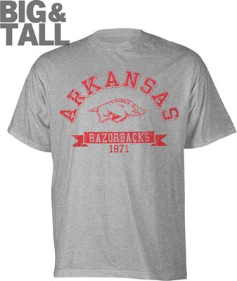 Gray Arkansas Razorbacks Big and Tall T-Shirt